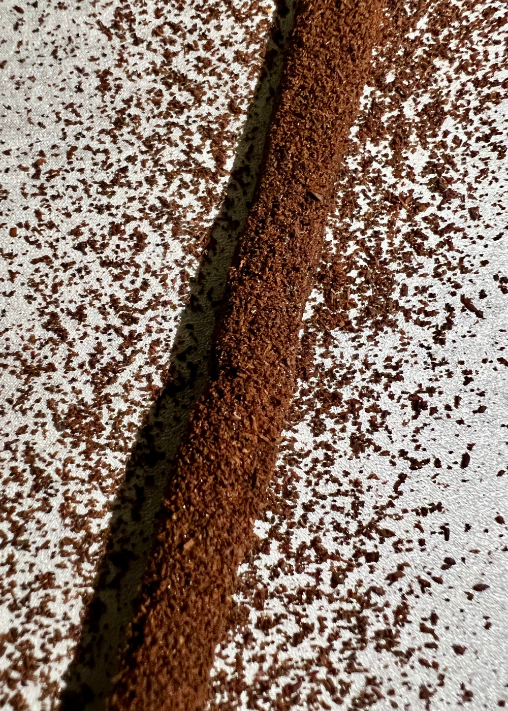Poudre de vanille intense